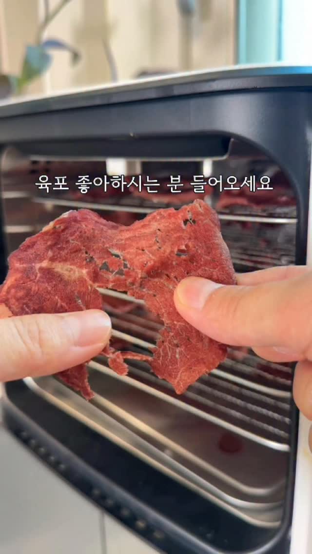 솔리디아 바디웨어