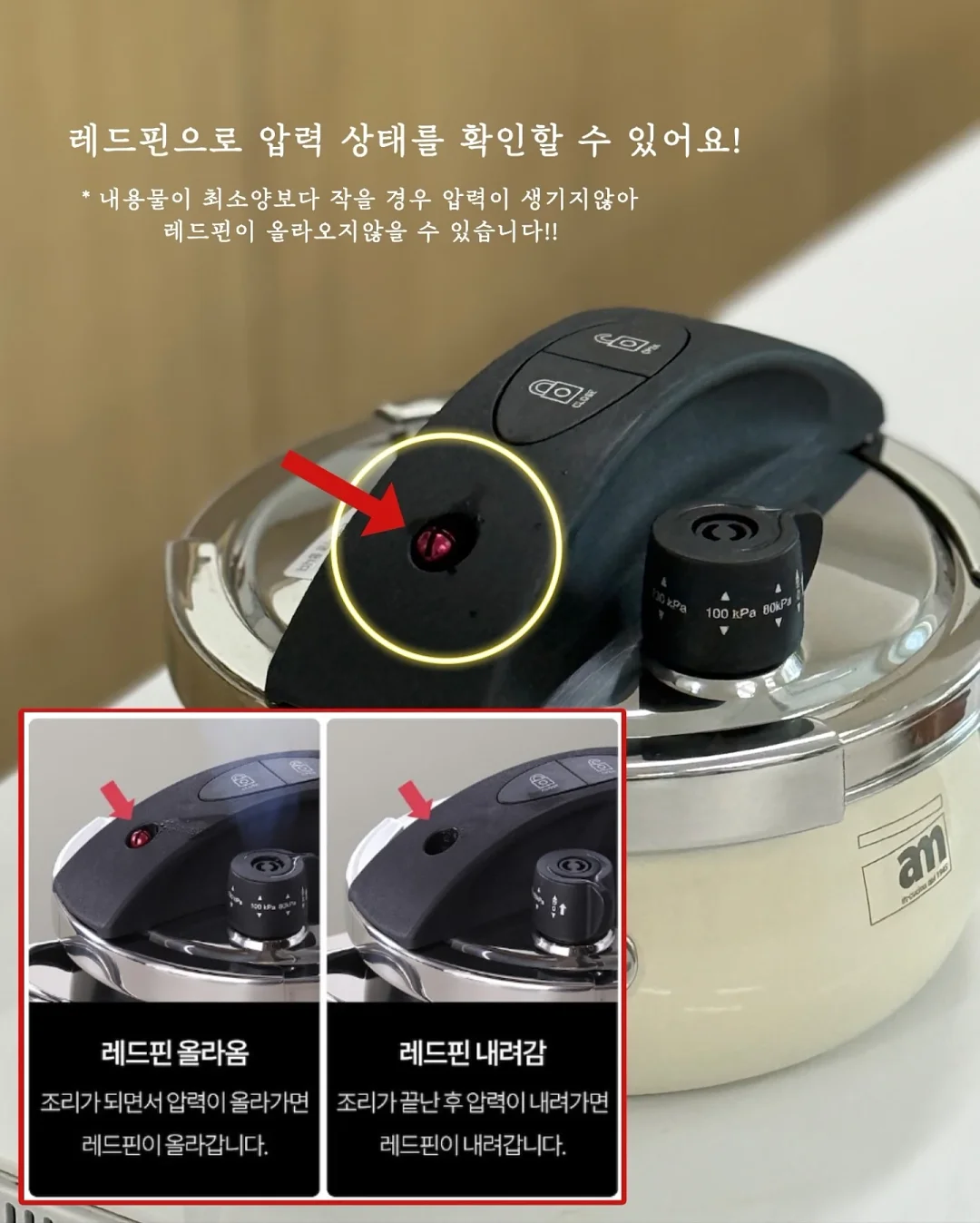 미니앙주 10