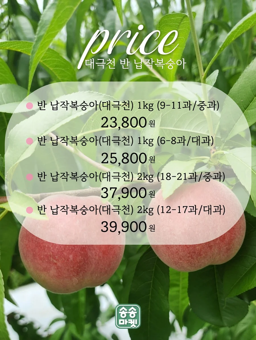 유럽 여행 쿠폰 3