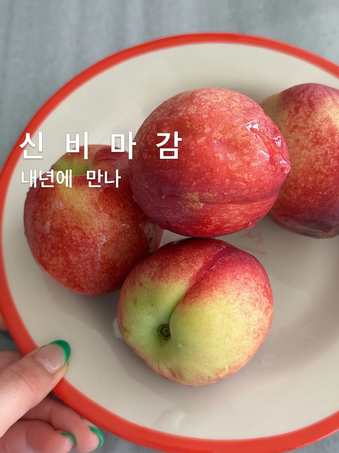 올리브오일 세트 1