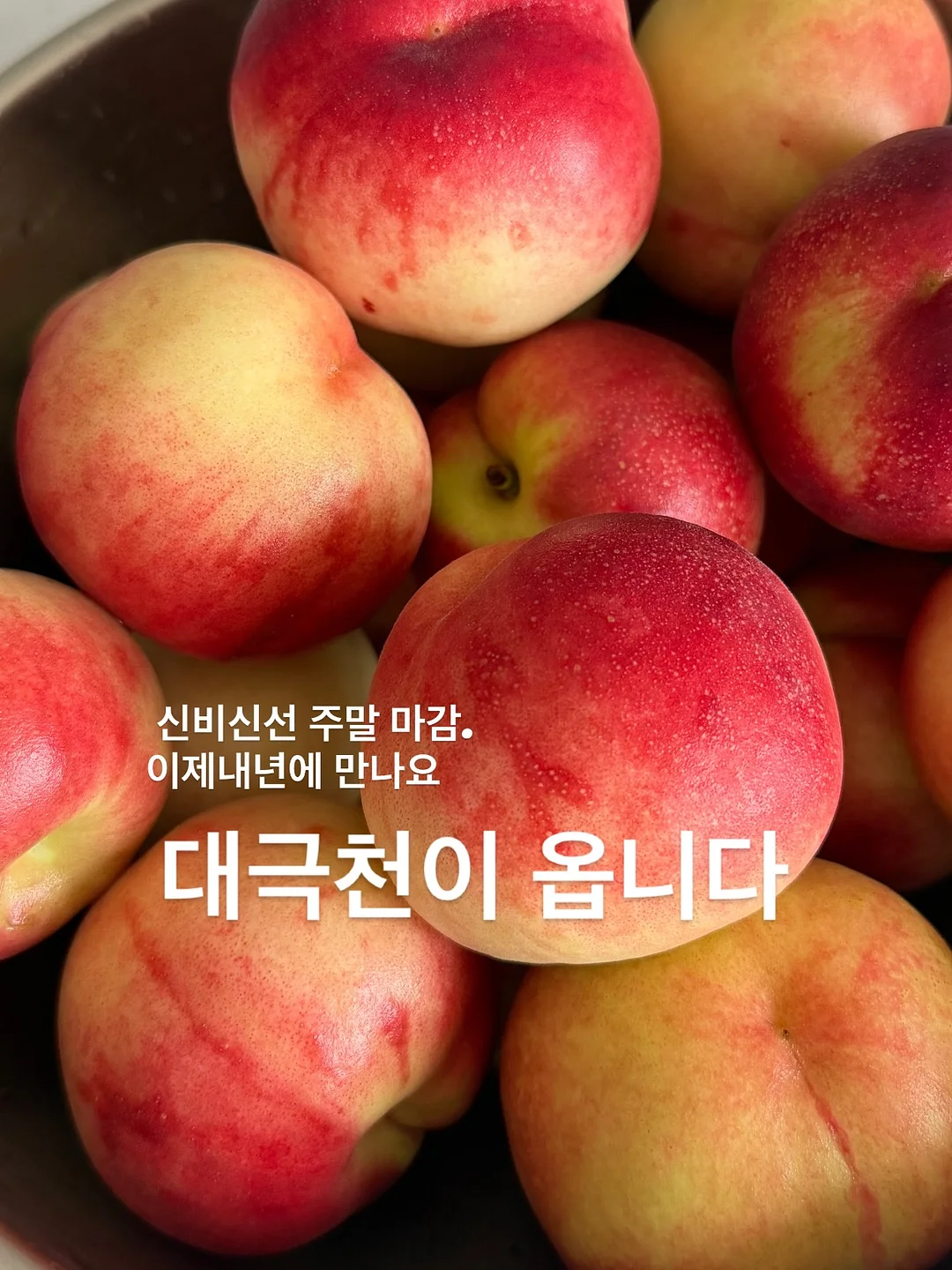 올리브오일 세트 3