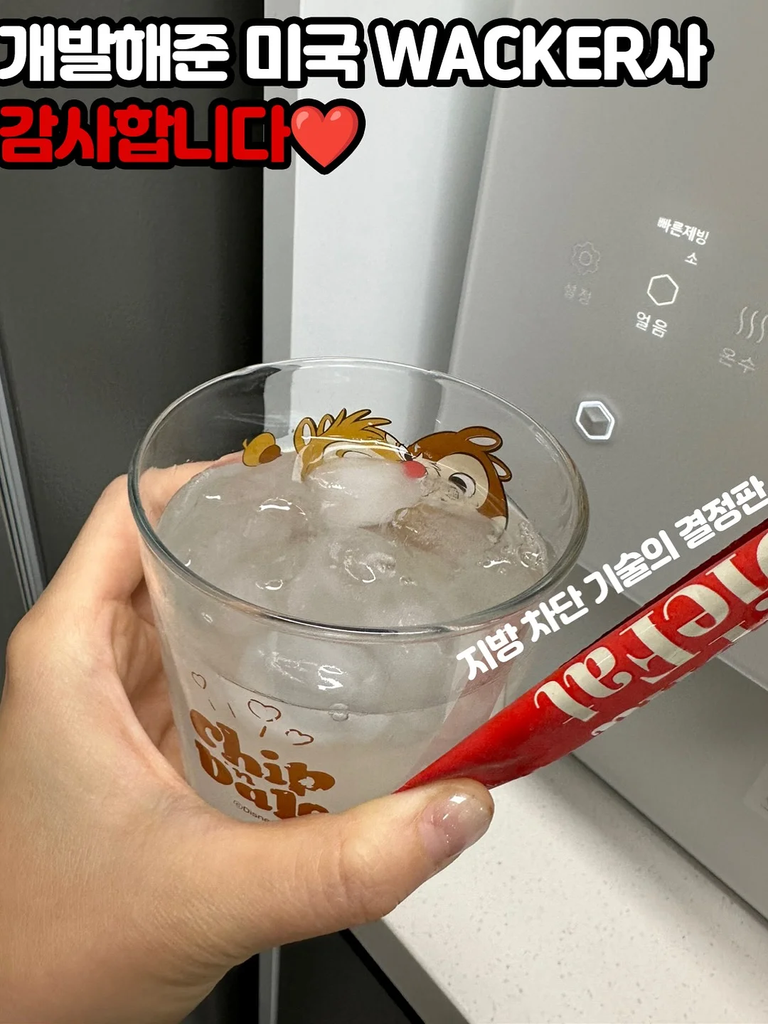 나는 고양이로소이다 리커버 한정판 9