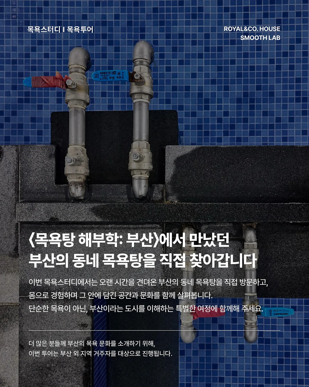 ro 플리츠 컬렉션 17
