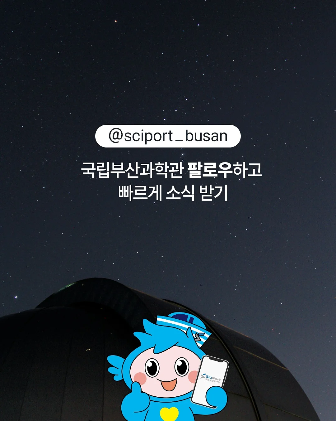 마더스콘 5구 식판 4