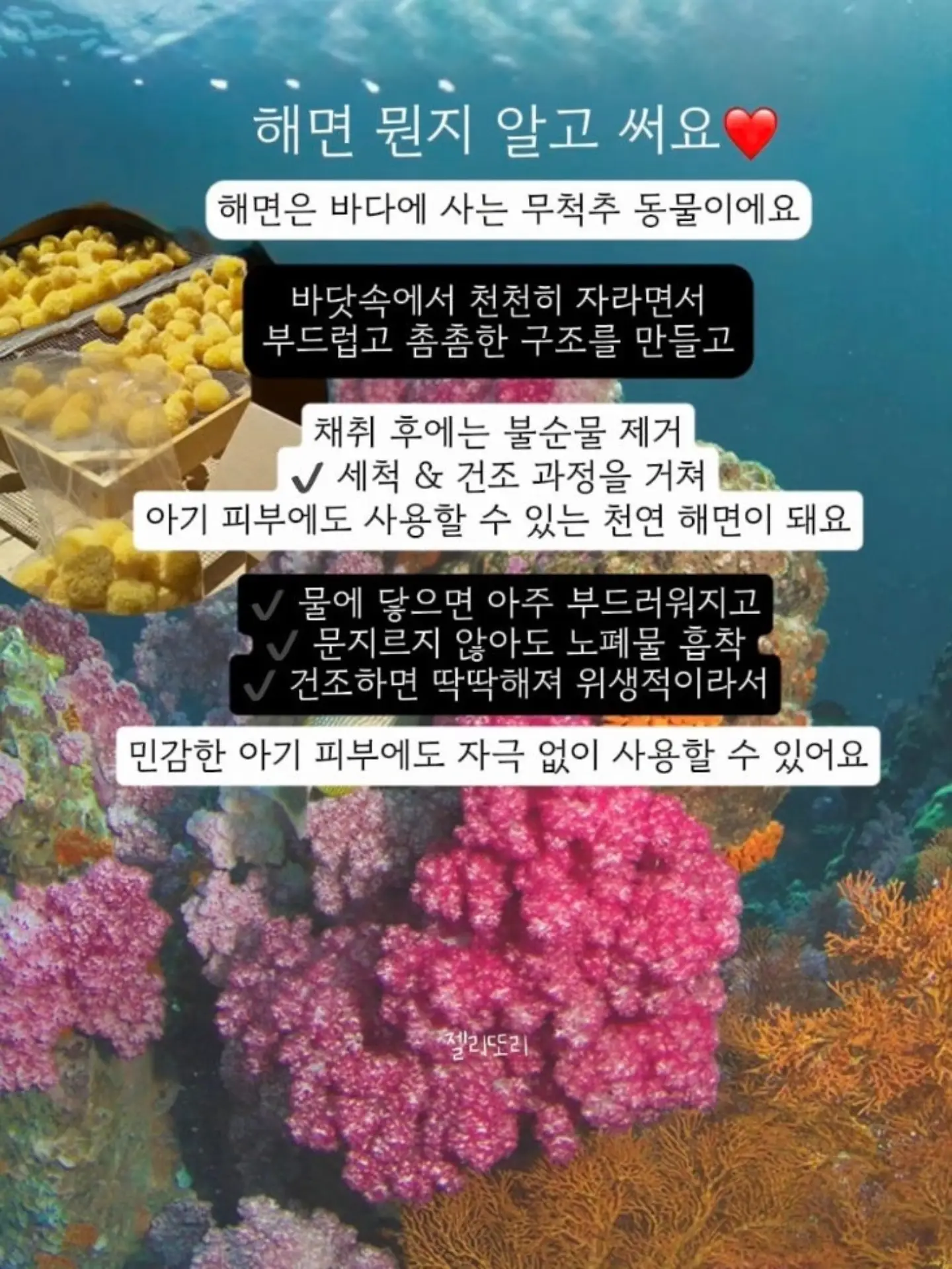 아가31도 멀티밤, 선스틱, 버블워시, 모이스춰, 수딩젤, 리피드크림, 코튼오일 앰플 6