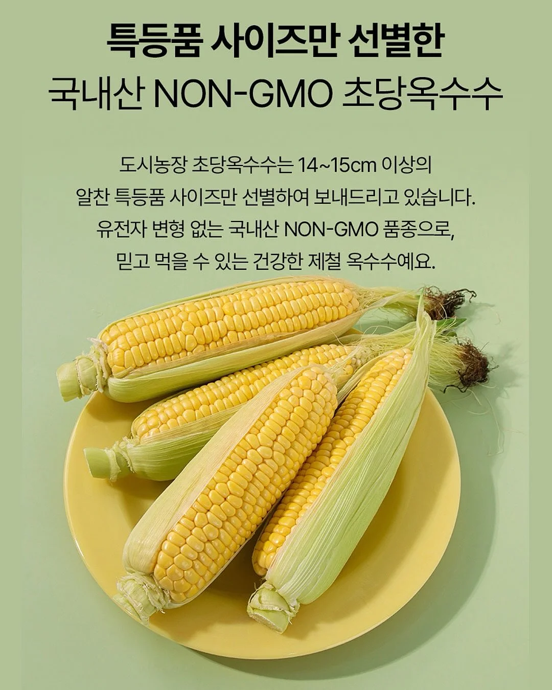 신발장 하부 수납함 4