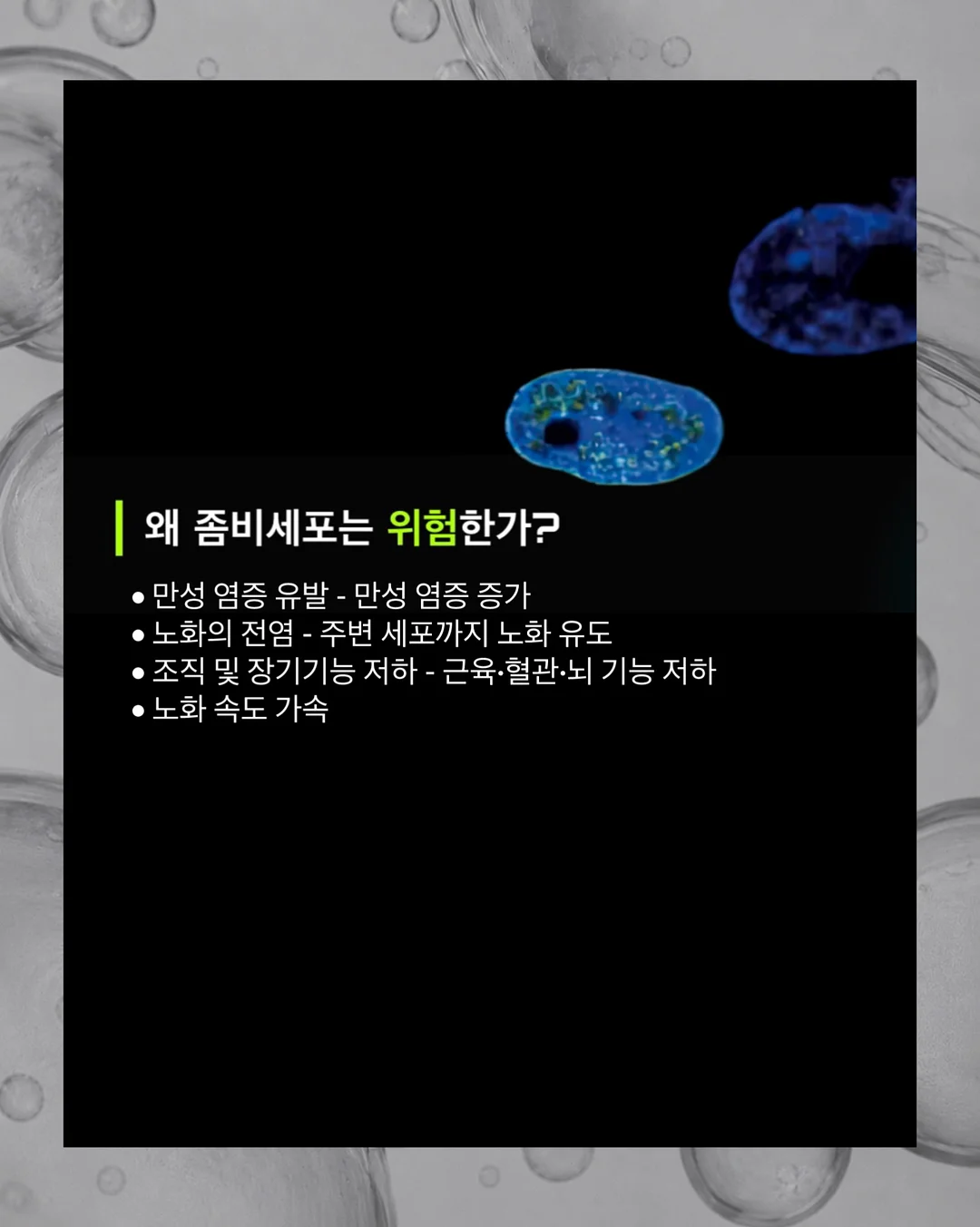 들깨표고현미밥 5