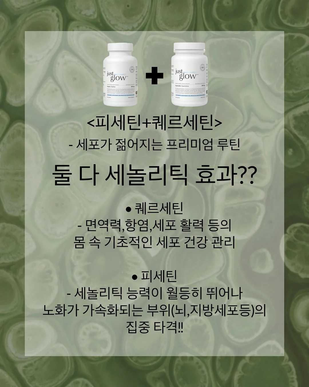 들깨표고현미밥 9