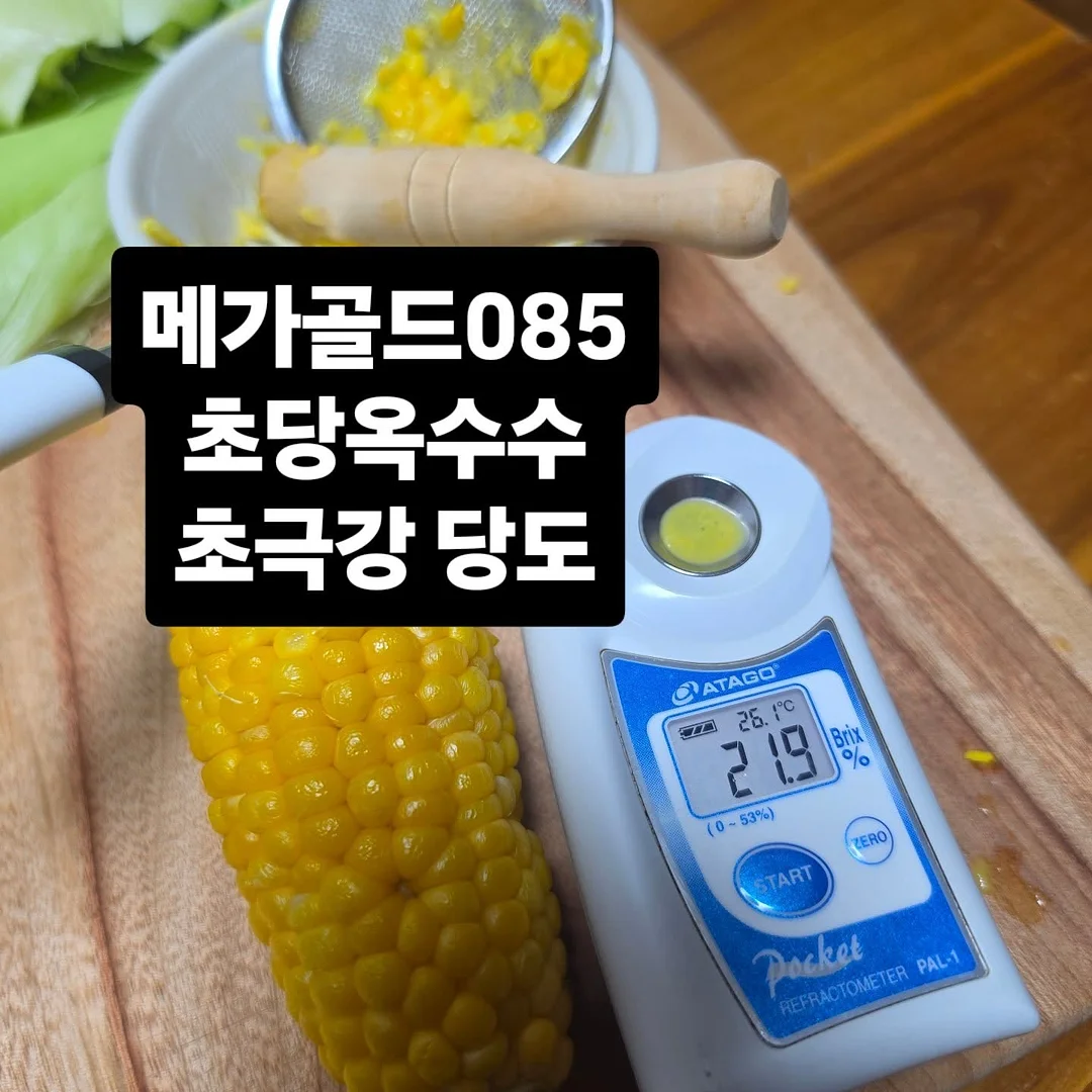 올인원 미니 칫솔 1