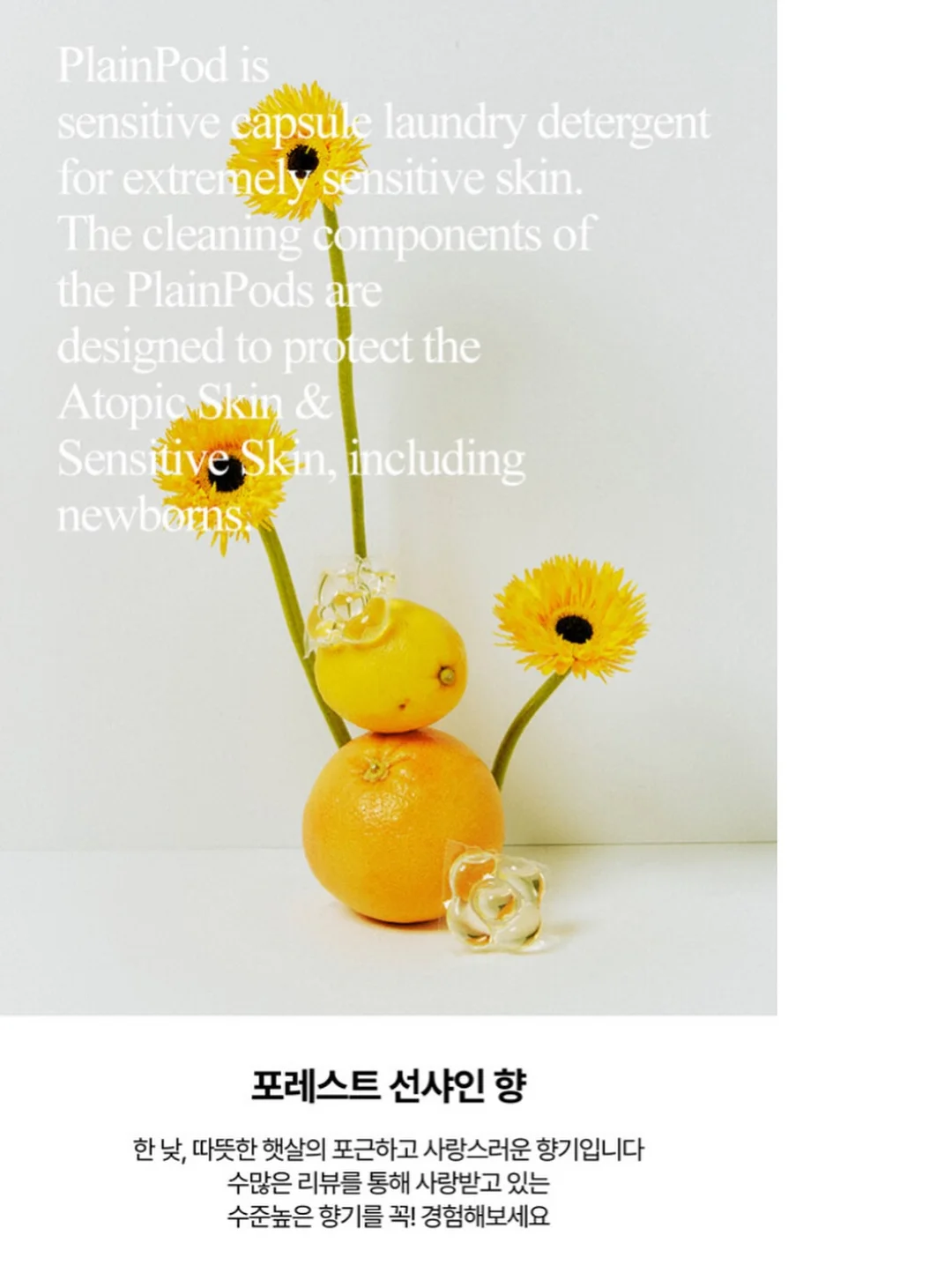 사우스폴 USA 아메카지 반팔 티셔츠 14