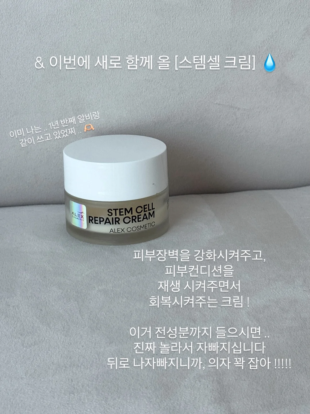 여름 하프 기장 아이템 8