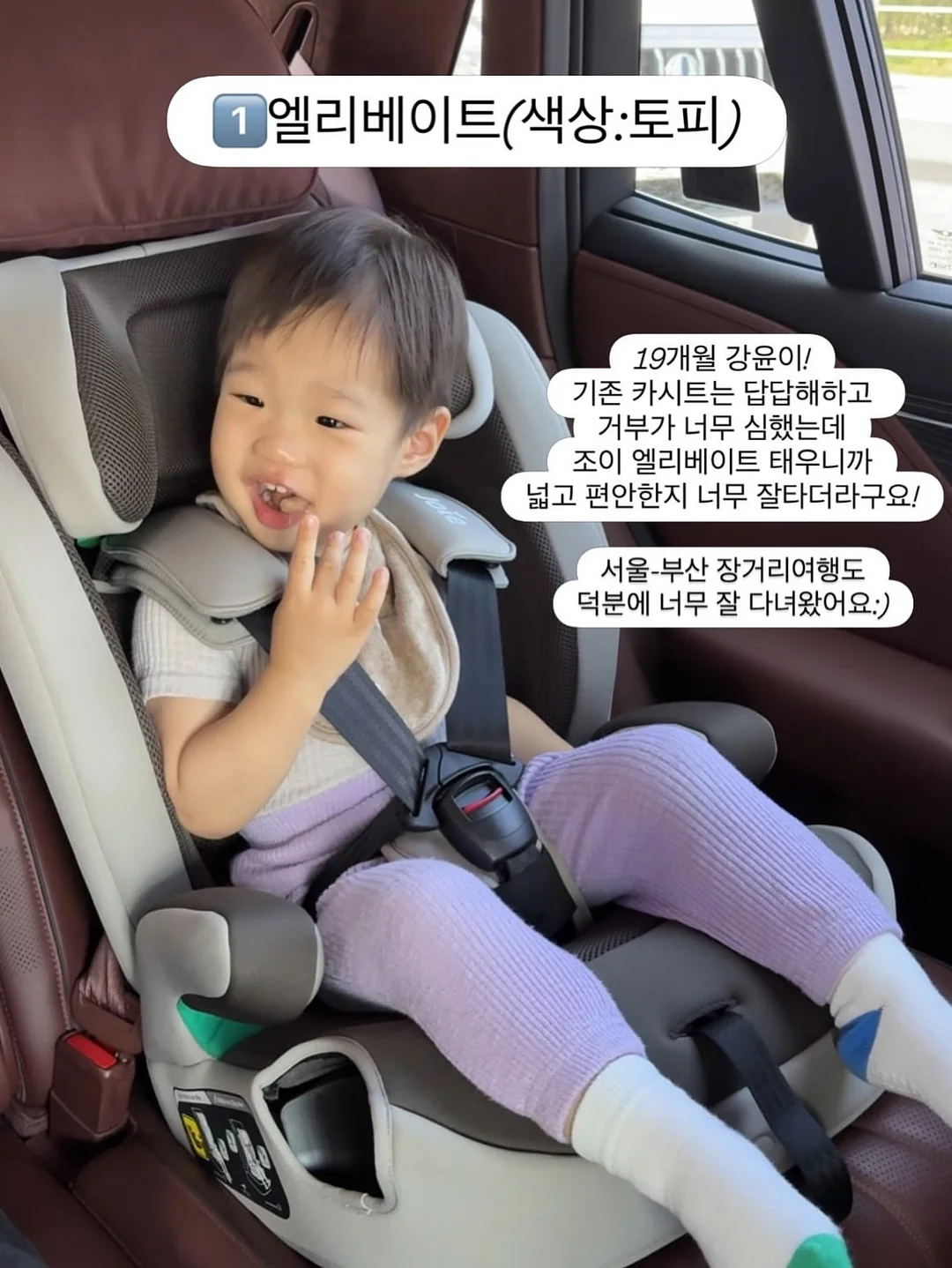 글루미베어 7
