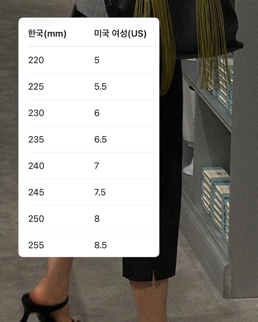 라이아 브레이디드 램스킨 발레슈즈 13