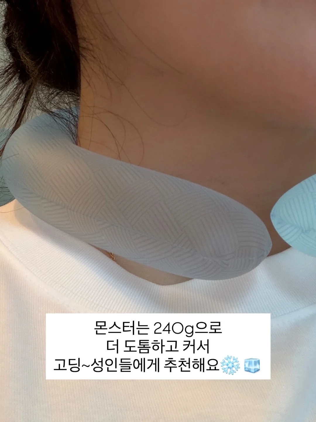 폴로 랄프로렌 프렙스터 쇼츠 5