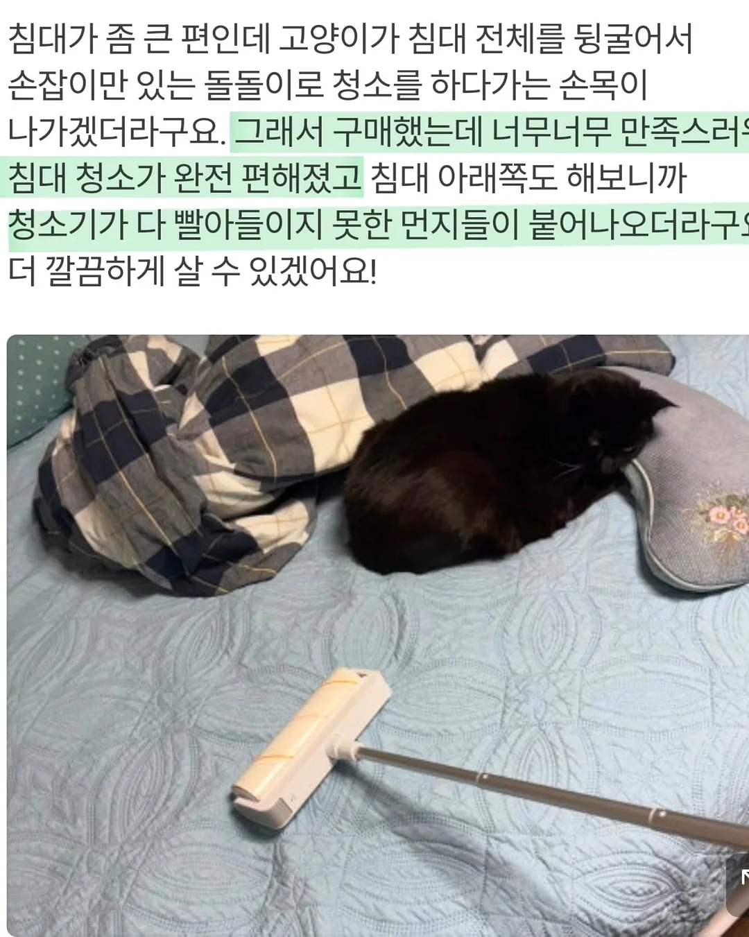 캘러웨이 엑스 드라이 카트백 14