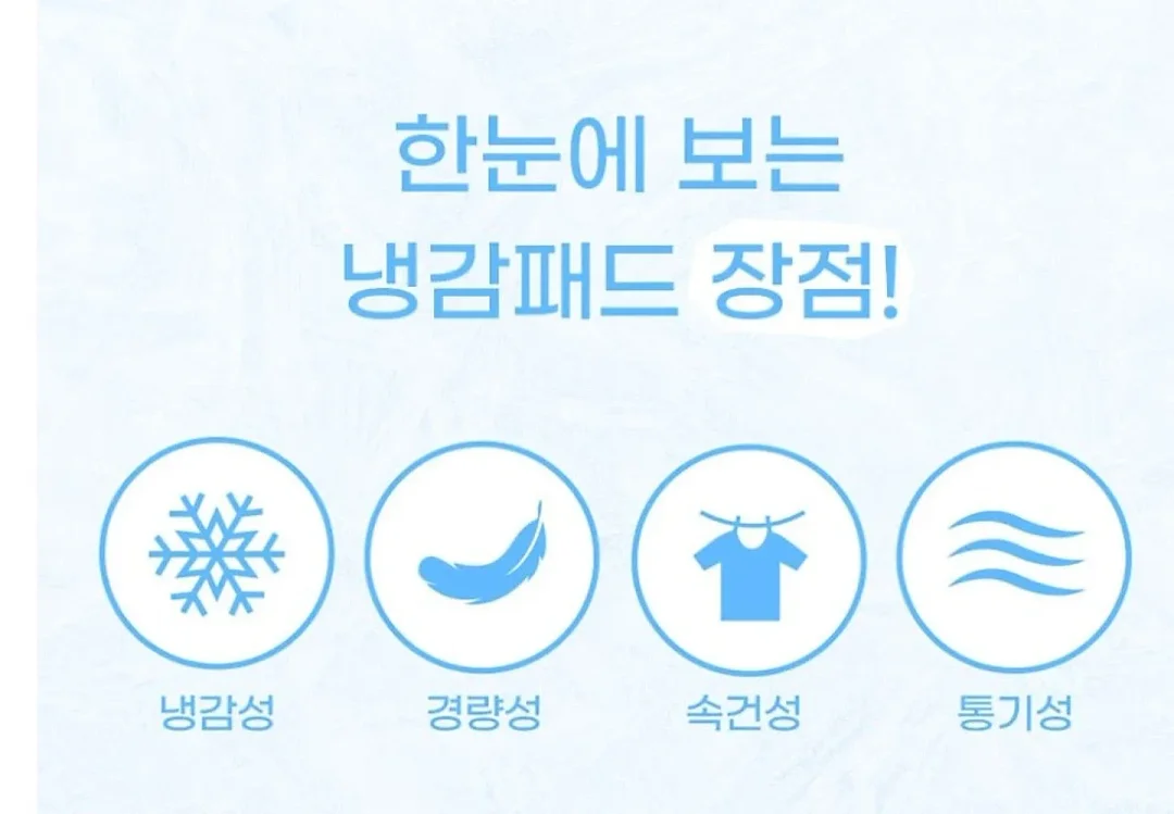 에클레어백 9