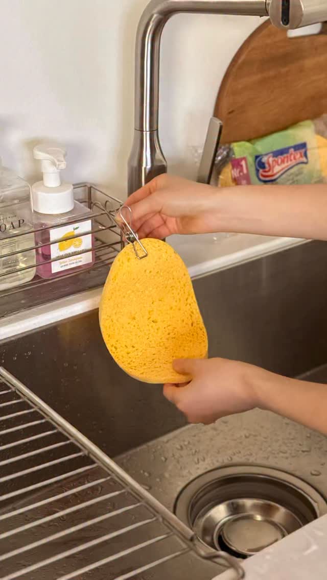 스트라이프 시스루 셔츠