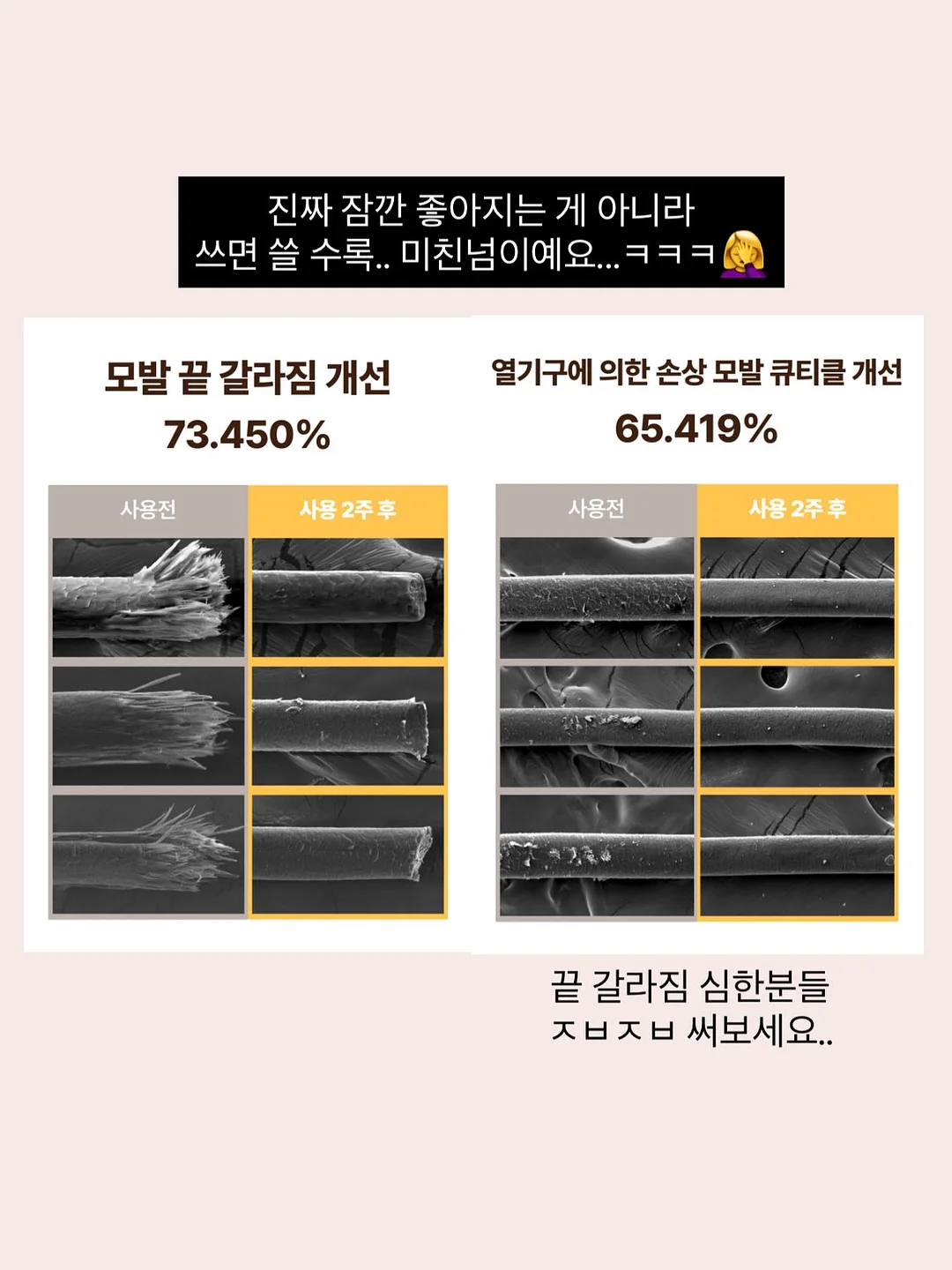 피니키 가수분해 유산균 사료 12