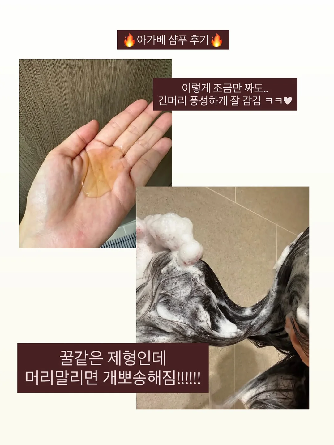 피니키 가수분해 유산균 사료 13