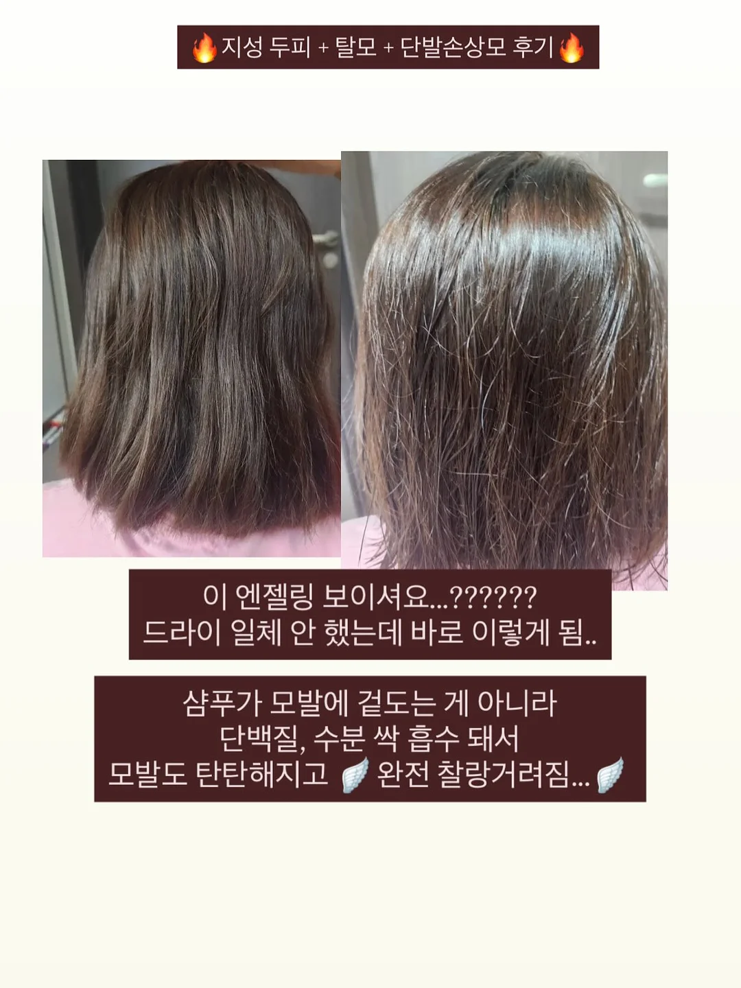 피니키 가수분해 유산균 사료 14