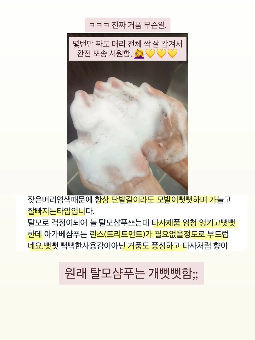 피니키 가수분해 유산균 사료 15