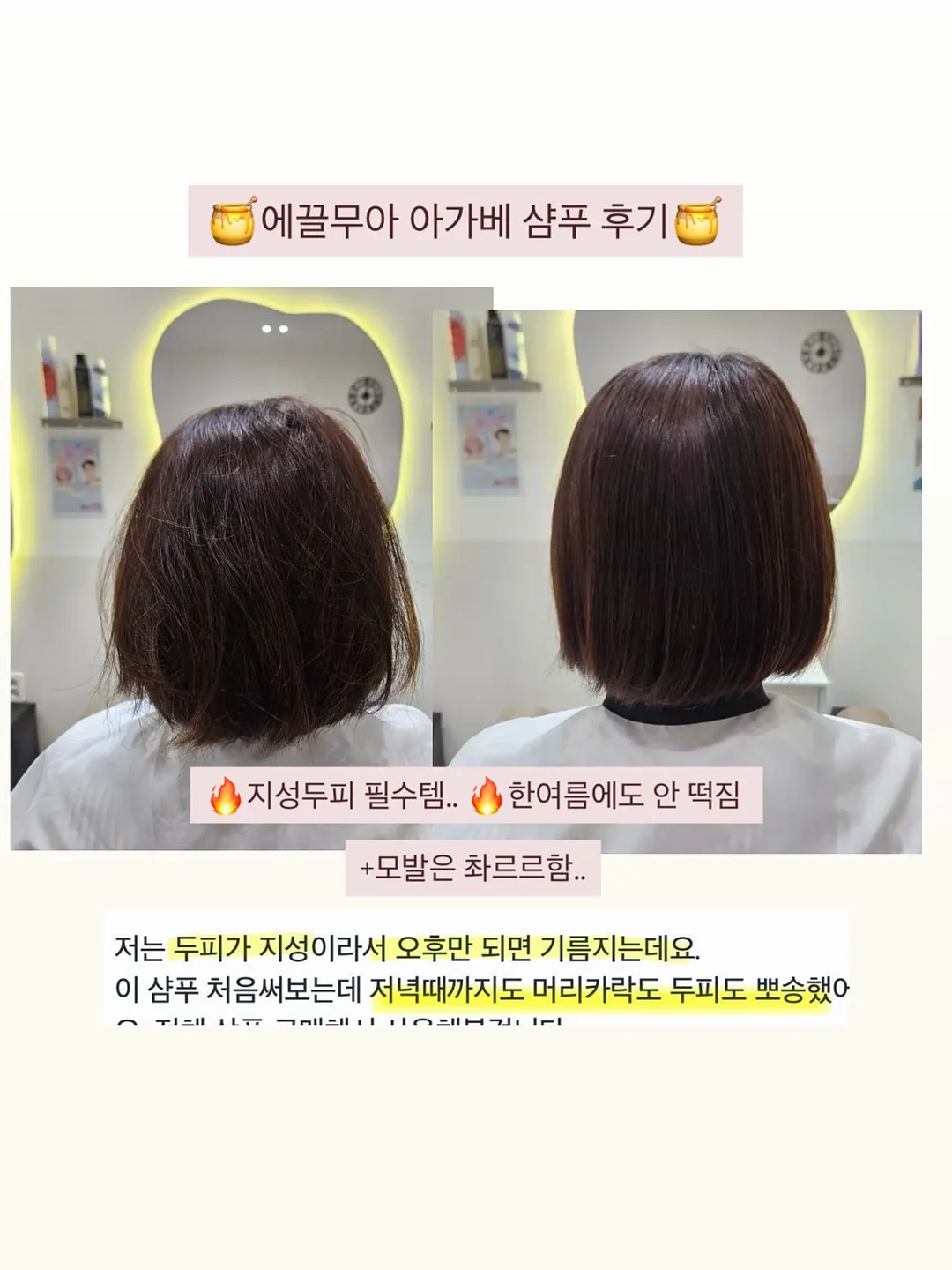 피니키 가수분해 유산균 사료 17