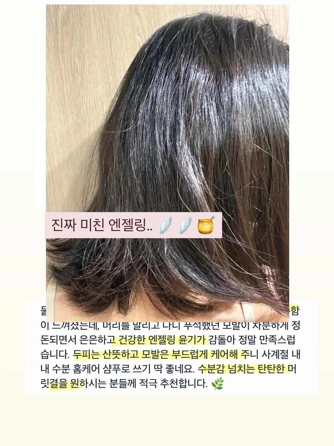 피니키 가수분해 유산균 사료 18