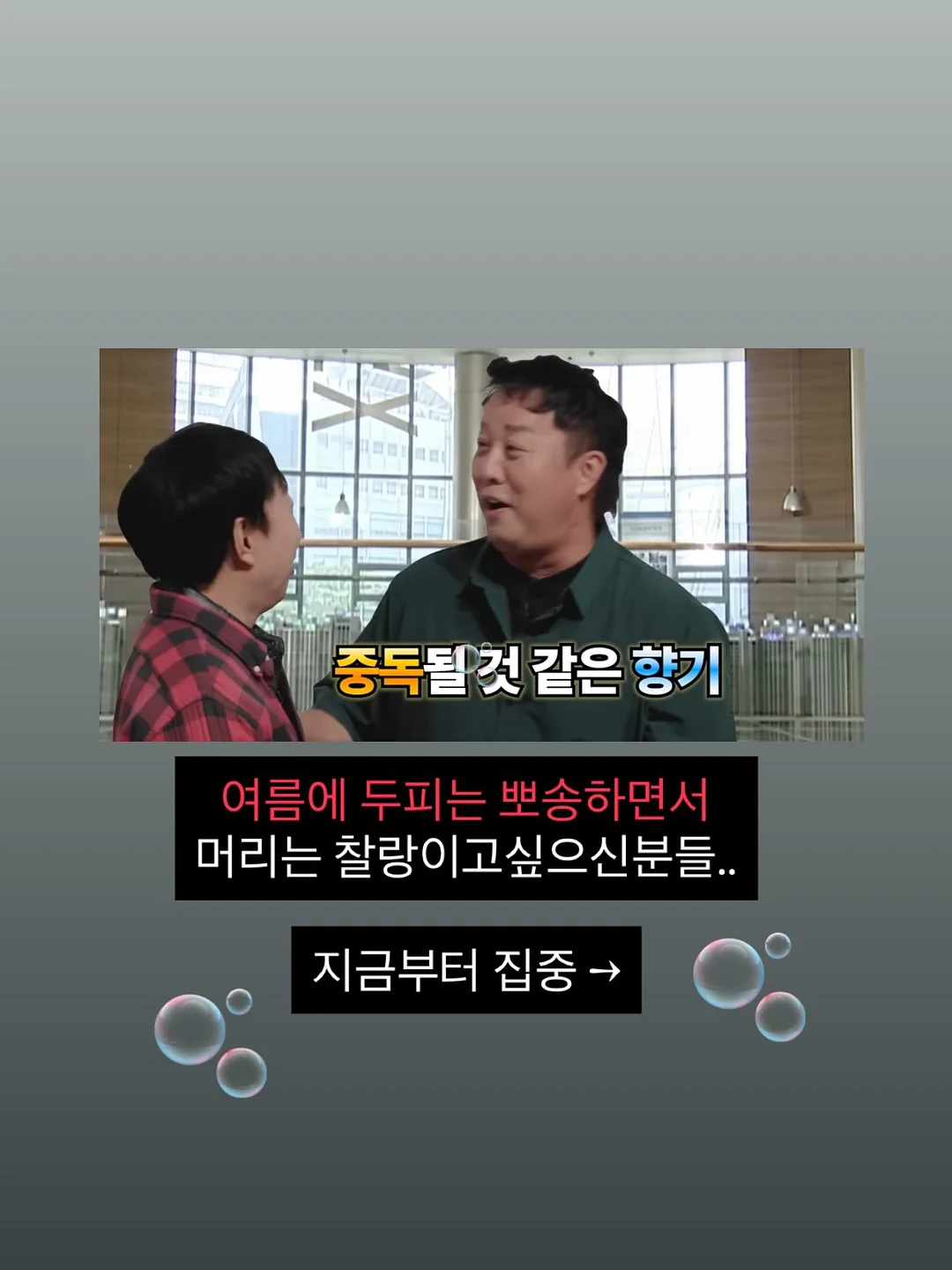 피니키 가수분해 유산균 사료 4