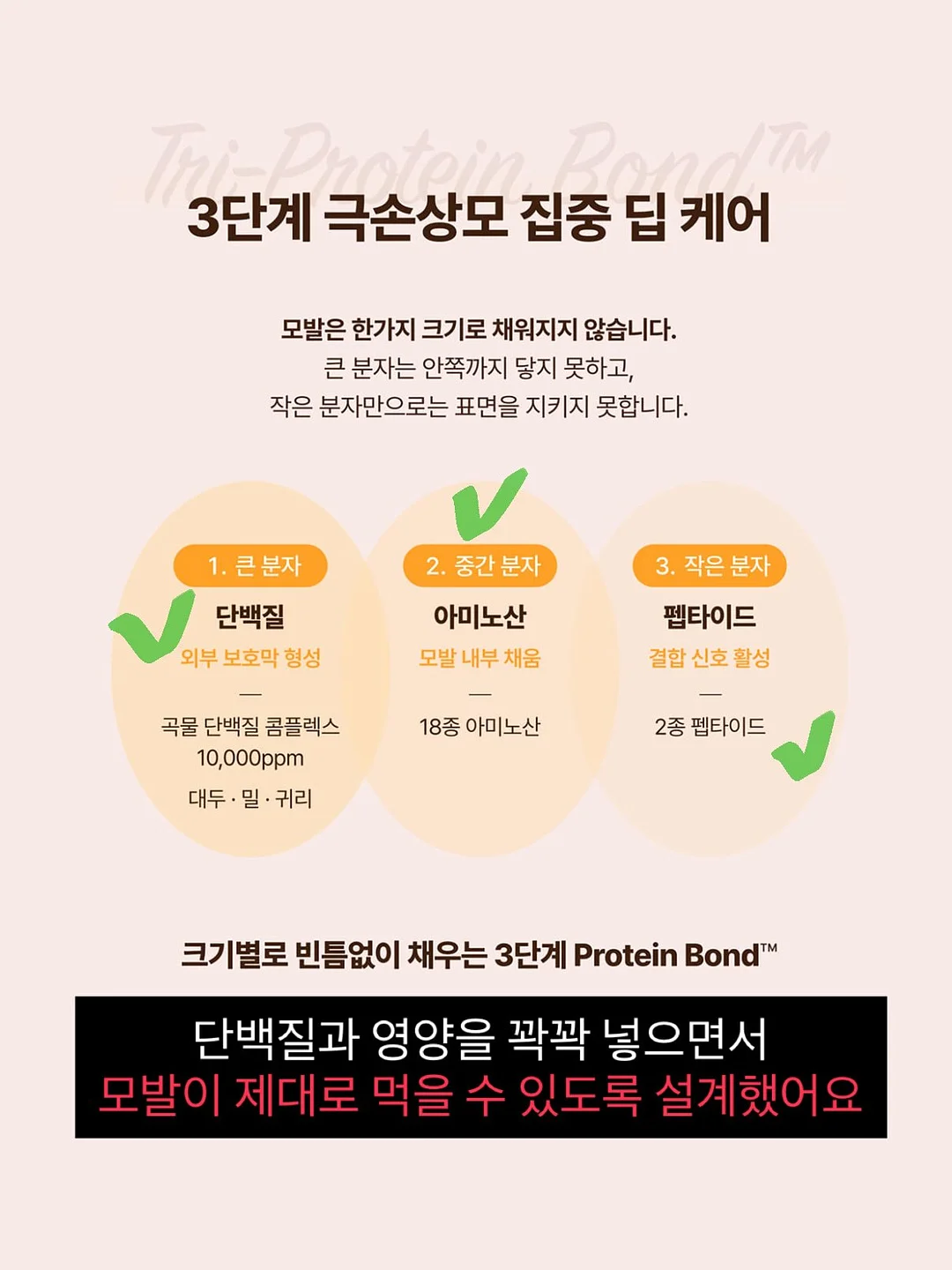 피니키 가수분해 유산균 사료 9