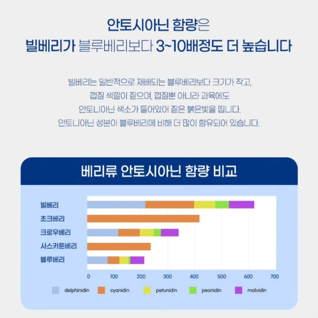 프롬미 블랙모찌 2