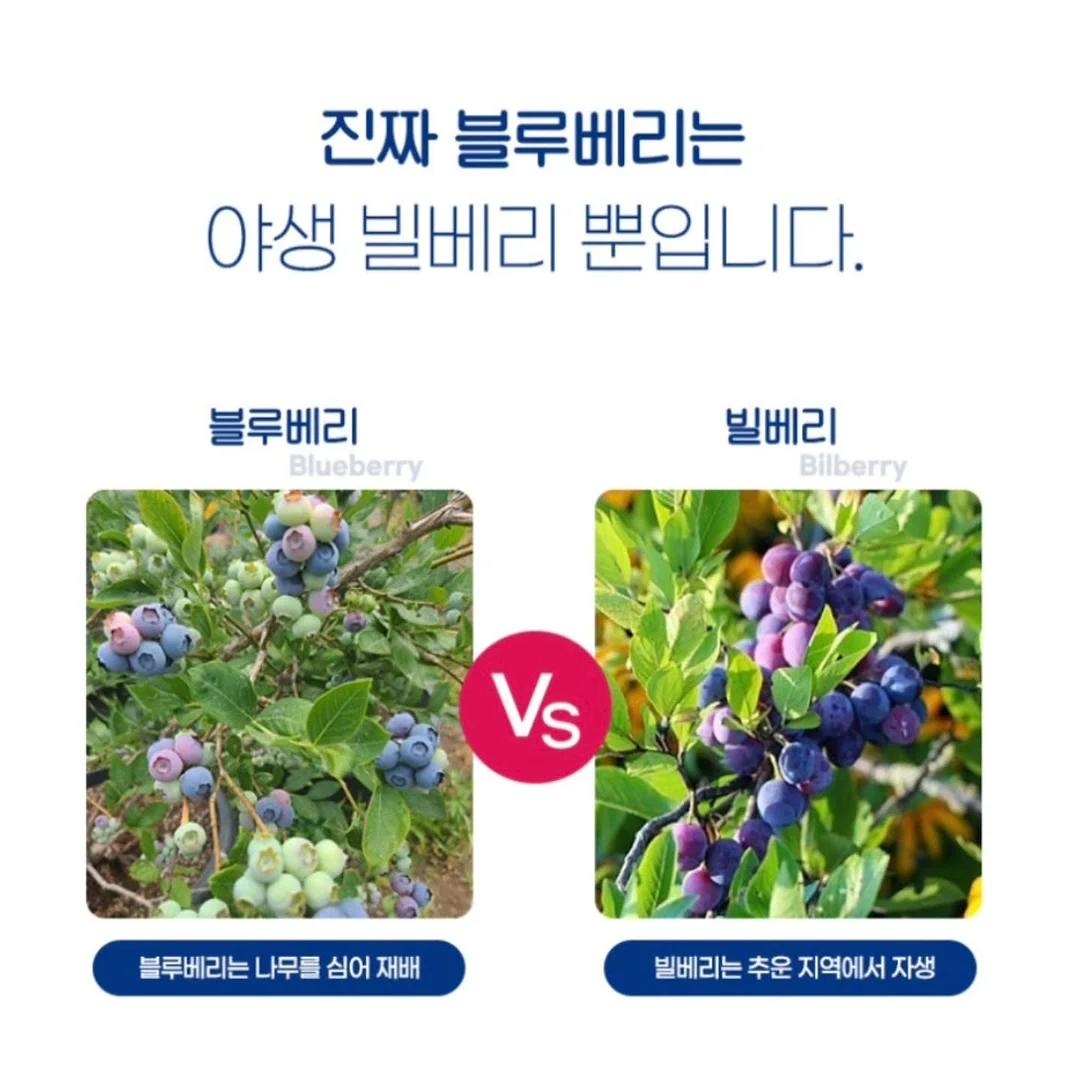 프롬미 블랙모찌 3