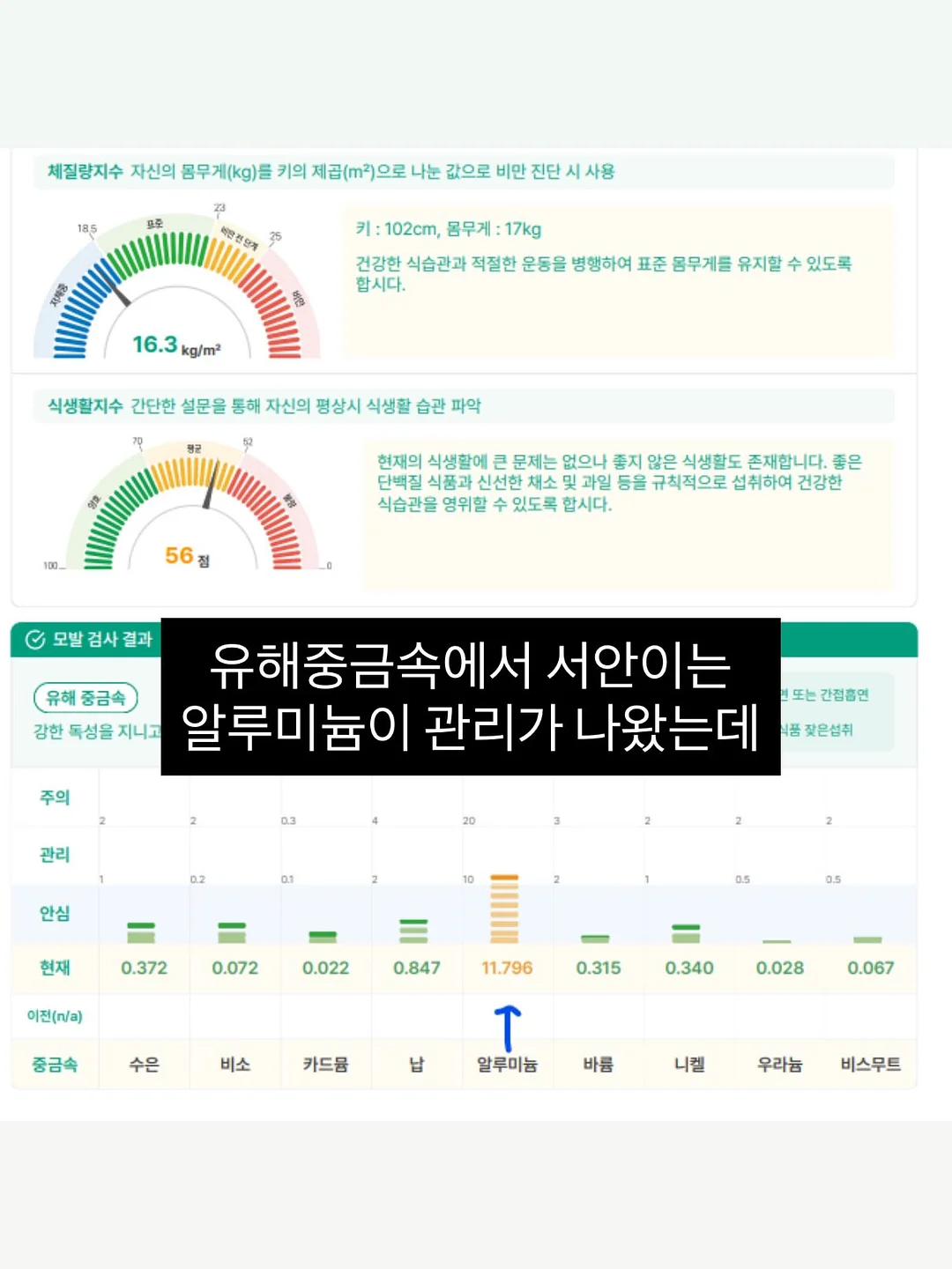 흑임자설기 답례 10