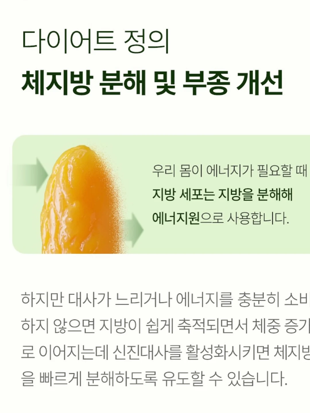 도저 엑스트라버진 아보카도오일 15