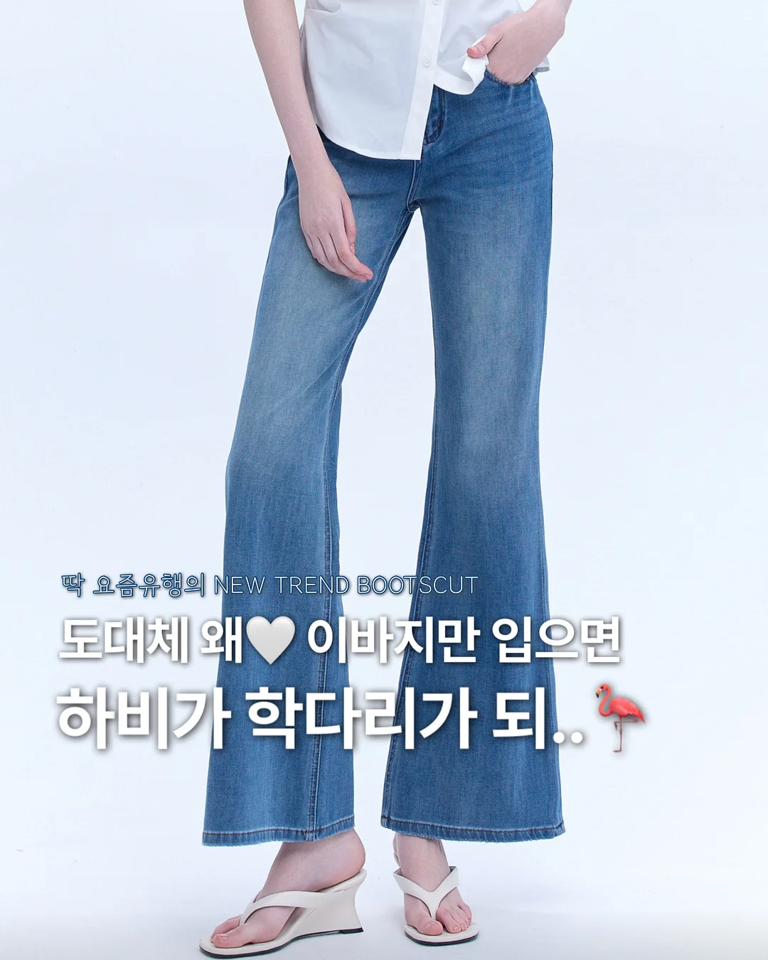 들깨 해물찜 1