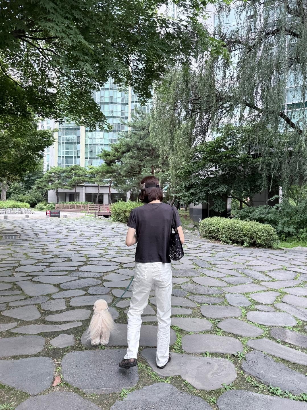 레글런 티샤츠 2
