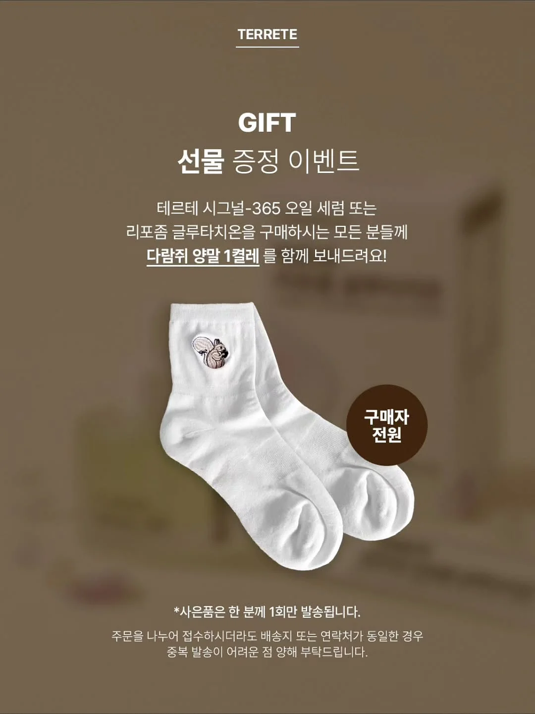 레글런 티샤츠 13