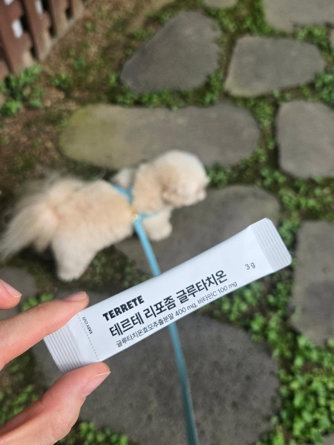 레글런 티샤츠 3