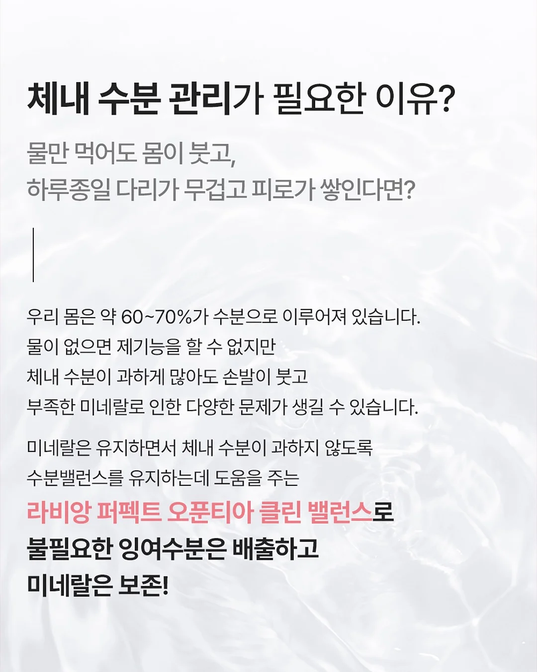 텀블러 뚜껑 브러쉬 11