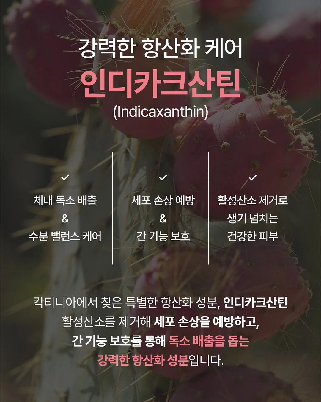 텀블러 뚜껑 브러쉬 12