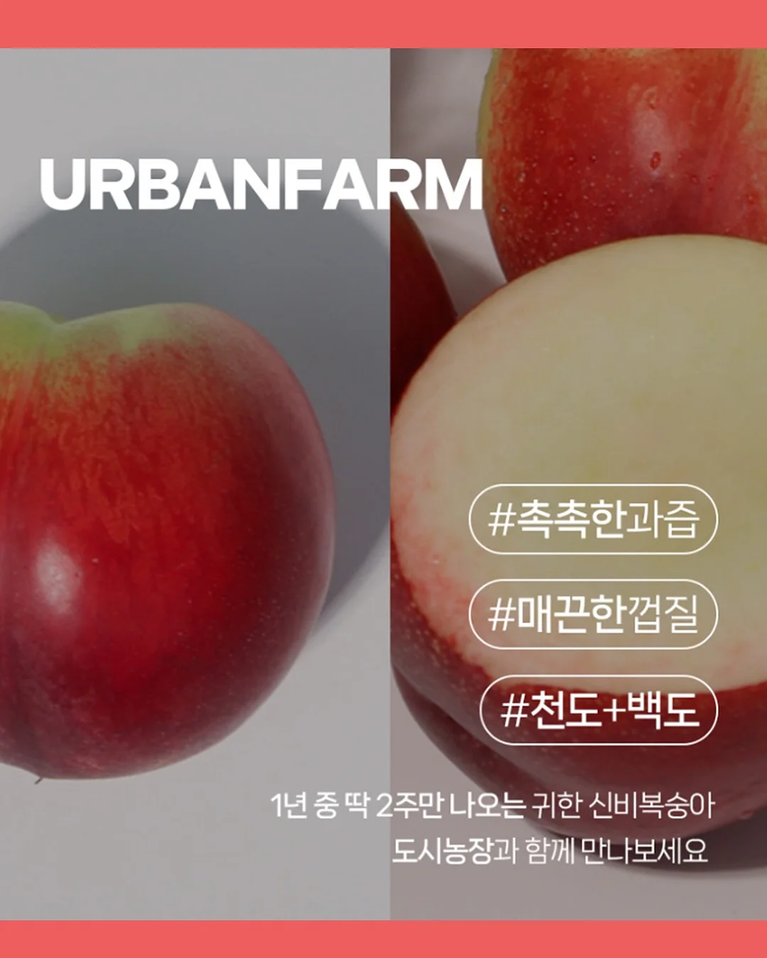 두바이 꼬마김밥 2