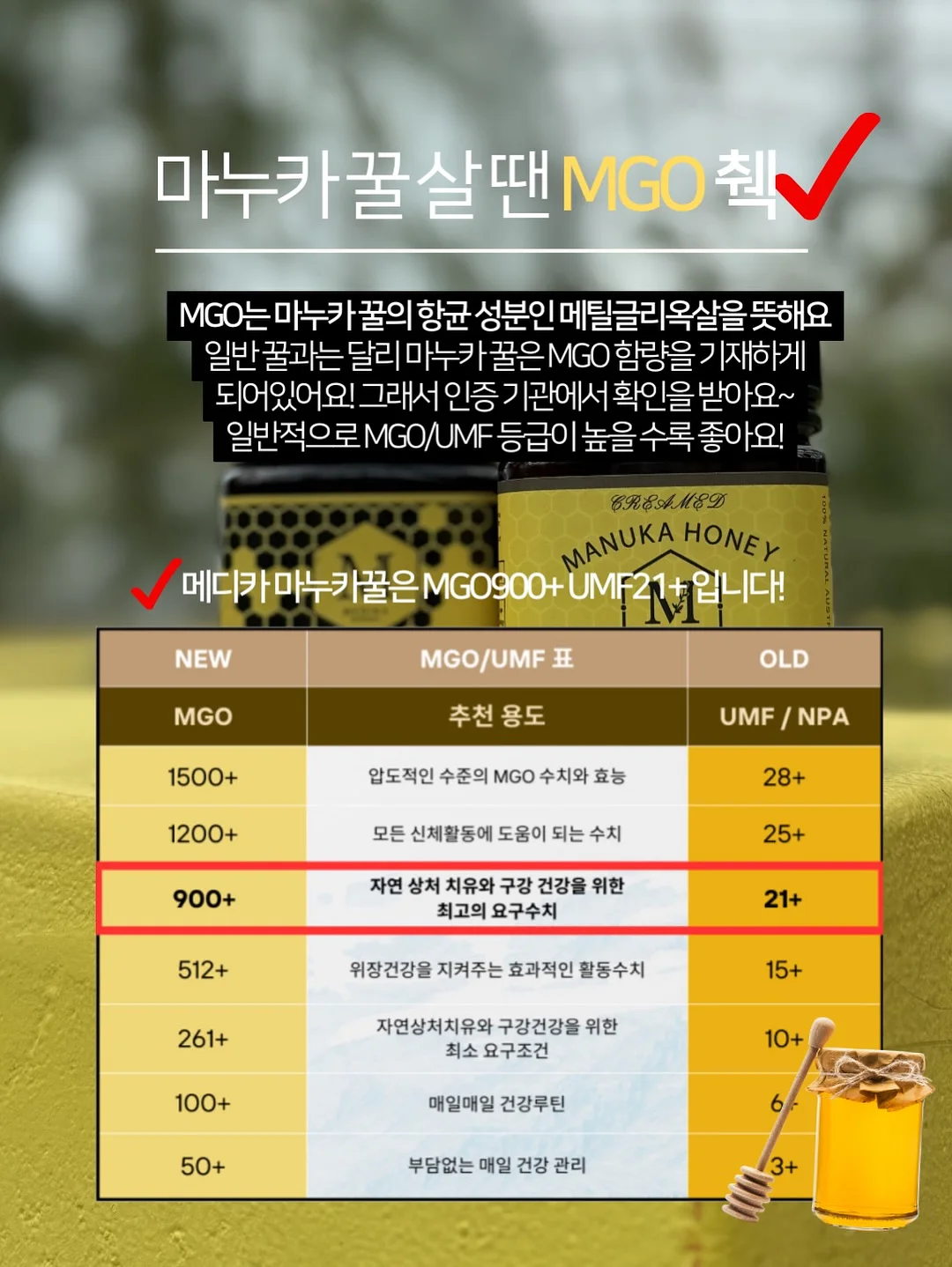 카고 11