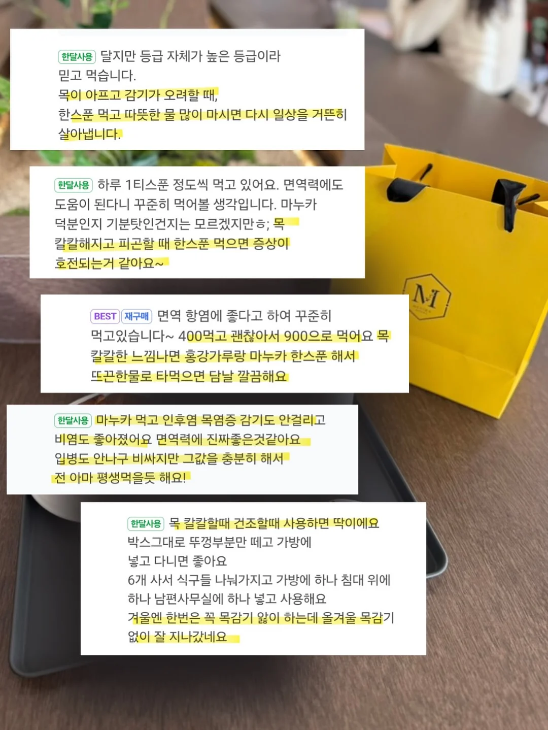 카고 12