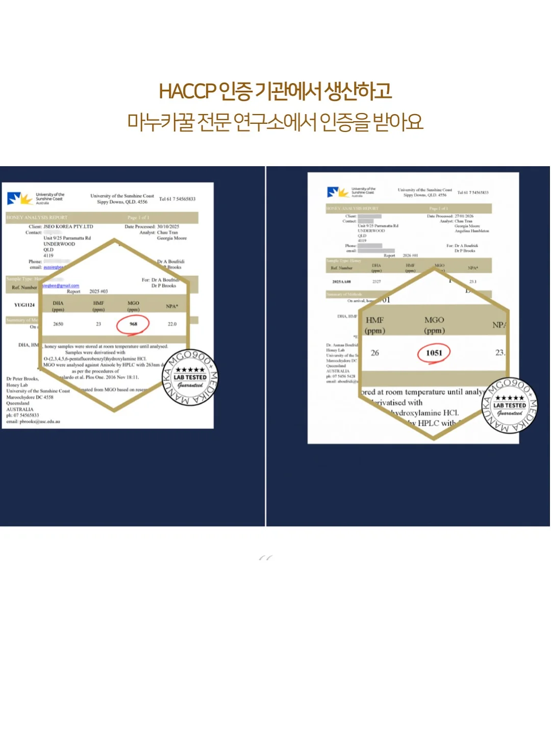 카고 13
