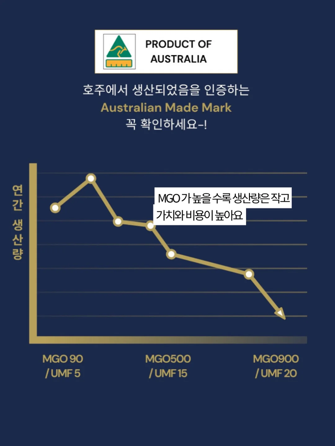 카고 14