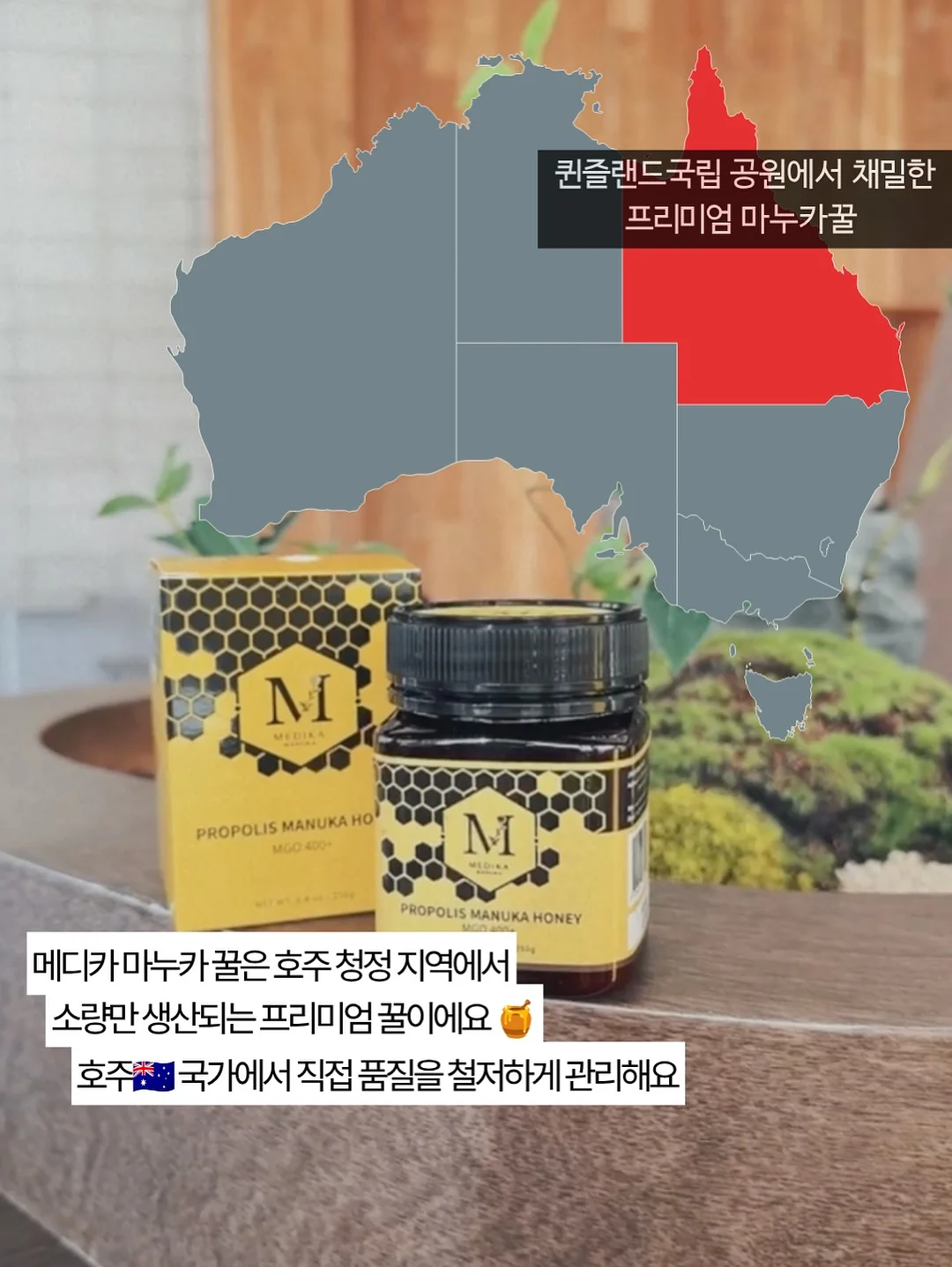 카고 15