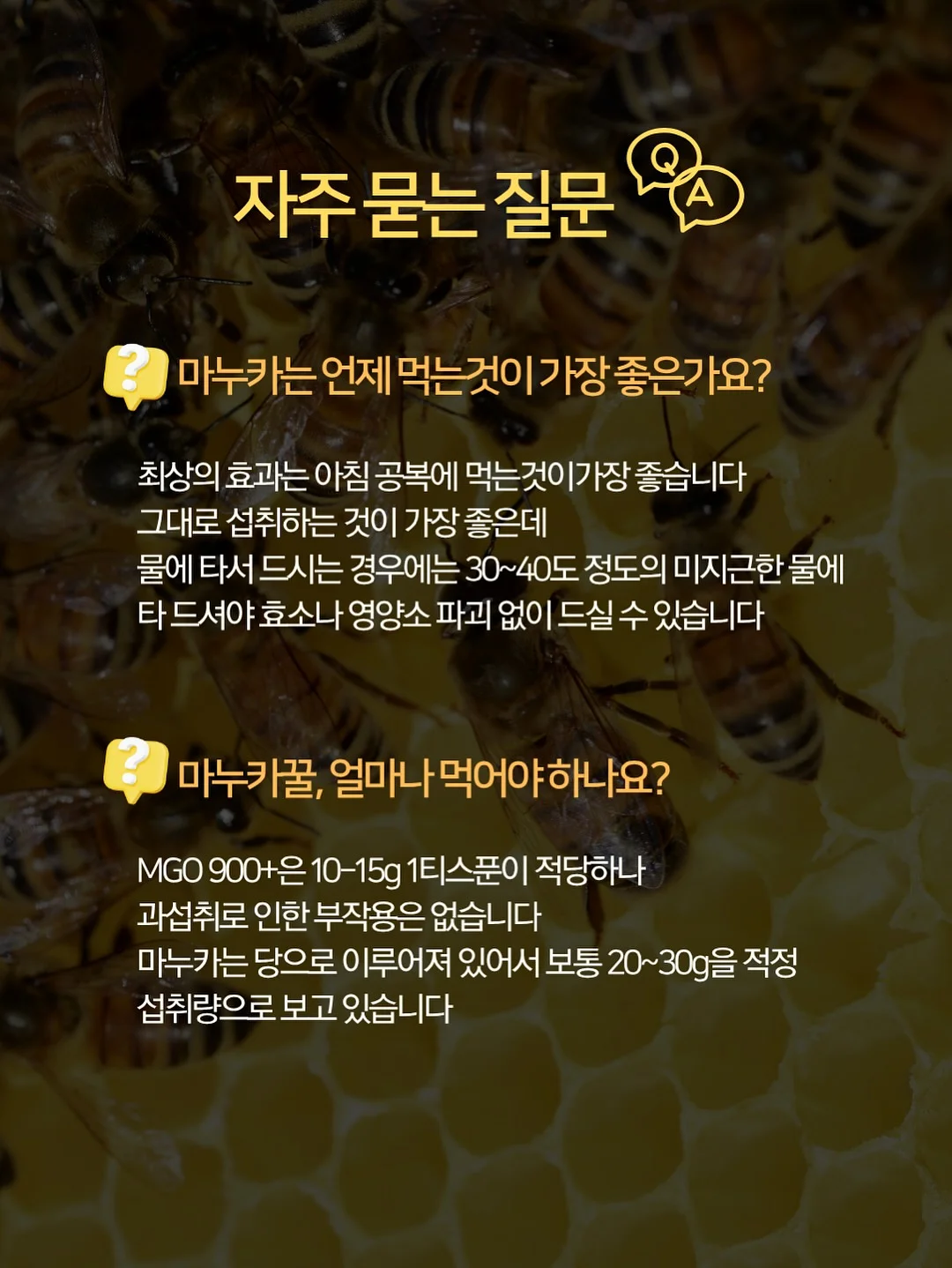 카고 19