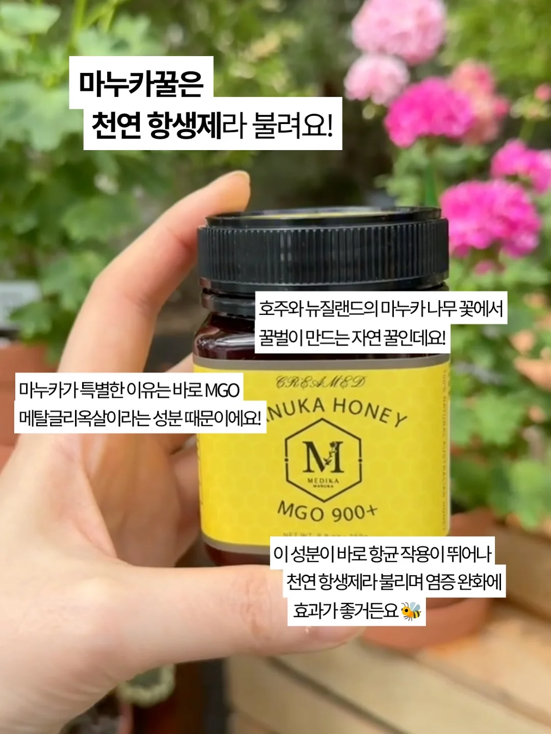 카고 9