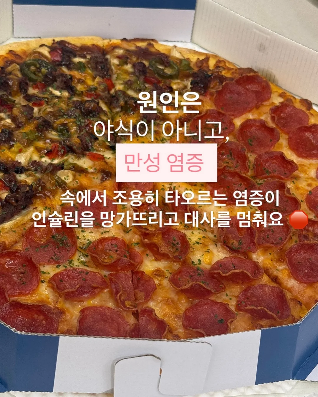 오우아 스튜디오 리틀토마토 셋업 3