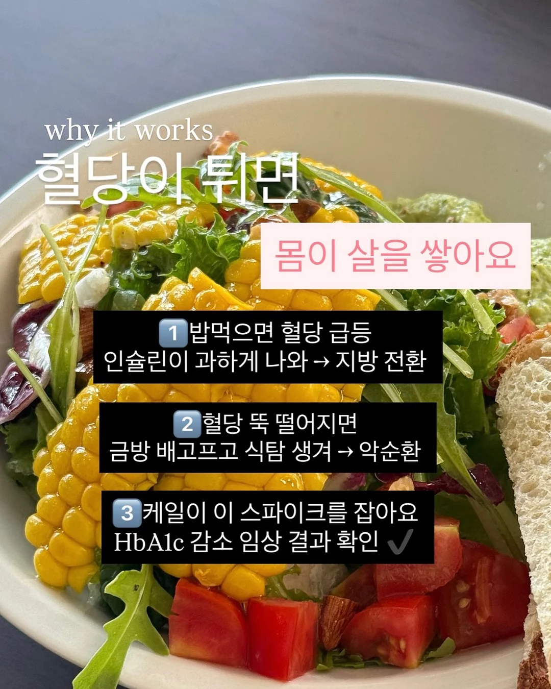 오우아 스튜디오 리틀토마토 셋업 4