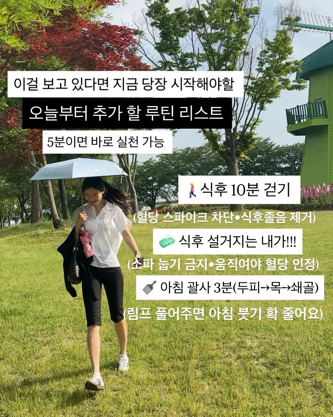 오우아 스튜디오 리틀토마토 셋업 6